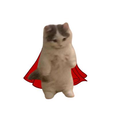 Superman-Cat in action